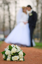 Similar image 1833857