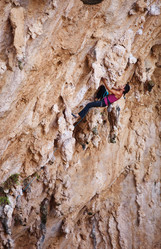 Similar image 1834392