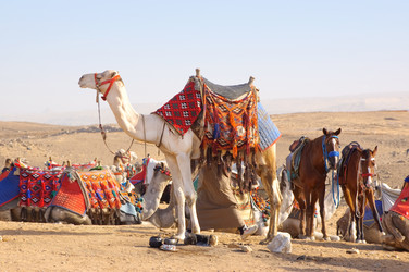 Similar image 1834394