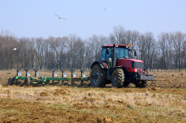 Similar image 1834397