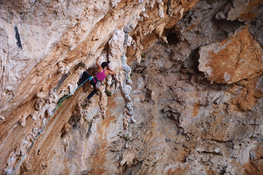 Similar image 1834526