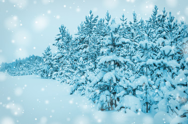 Similar image 1834577