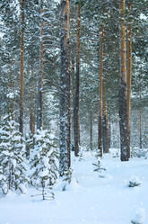 Similar image 1834578