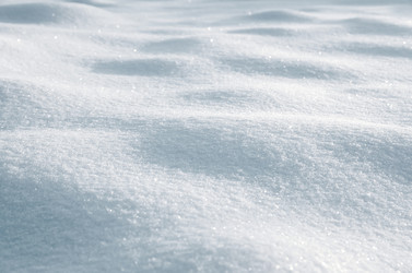 Similar image 1834587