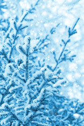 Similar image 1834589