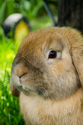 Similar image 1834591