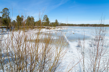 Similar image 1834636