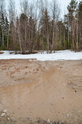 Similar image 1834642