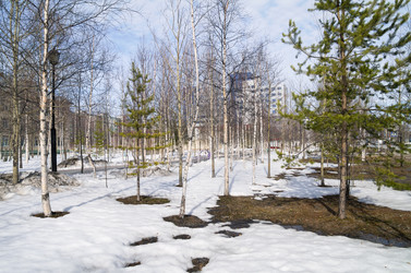 Similar image 1834643