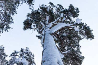 Similar image 1835236