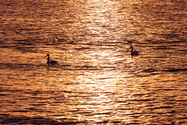 Similar image 1835237