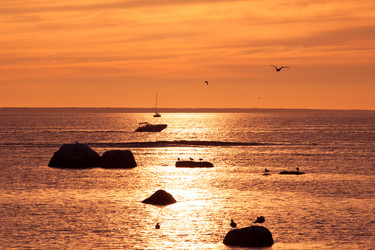 Similar image 1835239