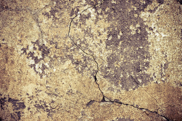 Similar image 1835243