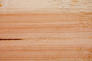 Similar image 1835252