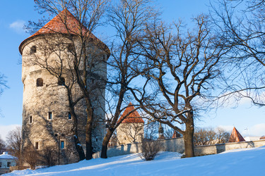 Similar image 1835284