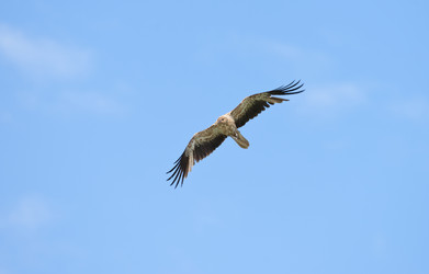 Similar image 1835799