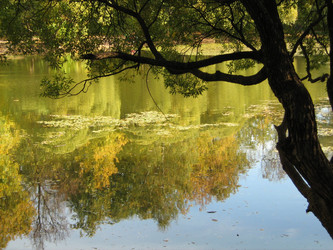 Similar image 1836957