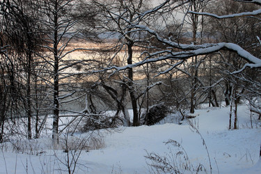 Similar image 1836960