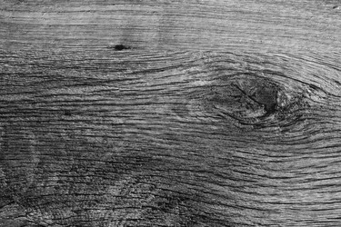 Similar image 1837603