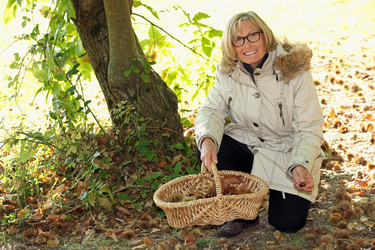 Similar image 1838604