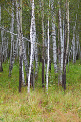 Similar image 1838620