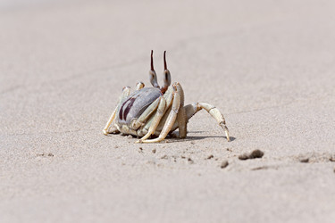 Similar image 1838624