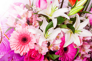 Similar image 1849137