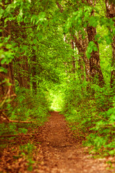 Similar image 1849139