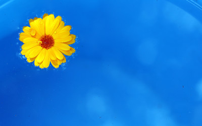 Similar image 1850504