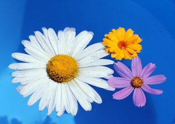 Similar image 1850511