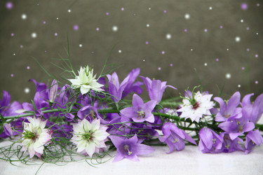 Similar image 1878744