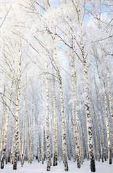 Similar image 1878909