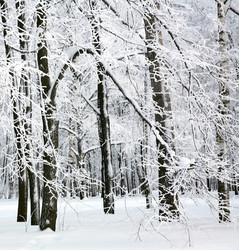 Similar image 1878912