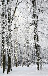 Similar image 1878913