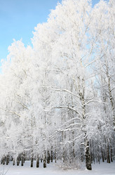 Similar image 1878915