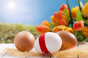 Similar image 1878923