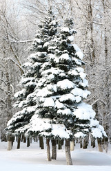 Similar image 1879114