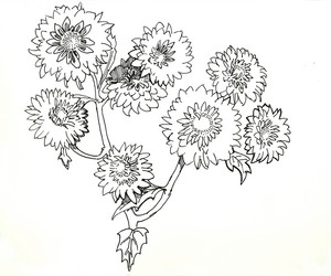 Similar image 1879374