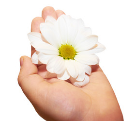 Similar image 1879545