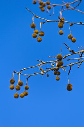 Similar image 1880178