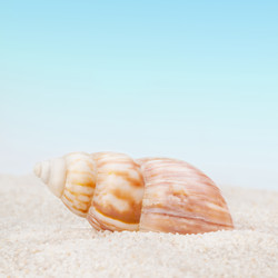 Similar image 1880478