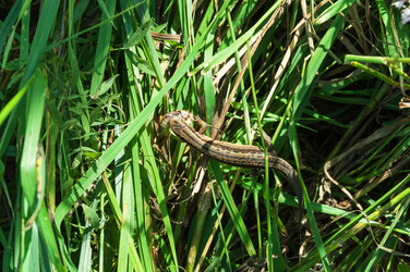 Similar image 1881034