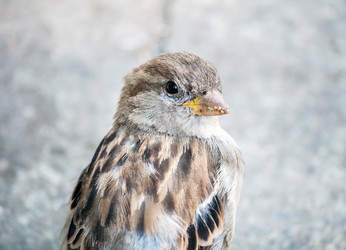 Similar image 1881045