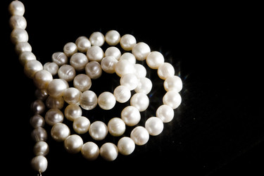 Similar image 1881111