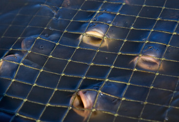 Similar image 1881168