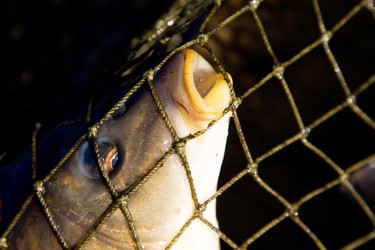 Similar image 1881293