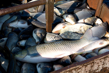 Similar image 1881294