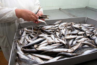 Similar image 1881300