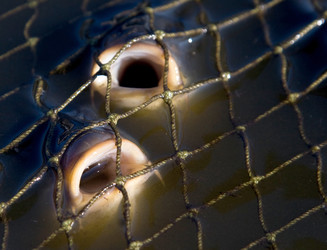 Similar image 1881303