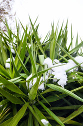 Similar image 1882778